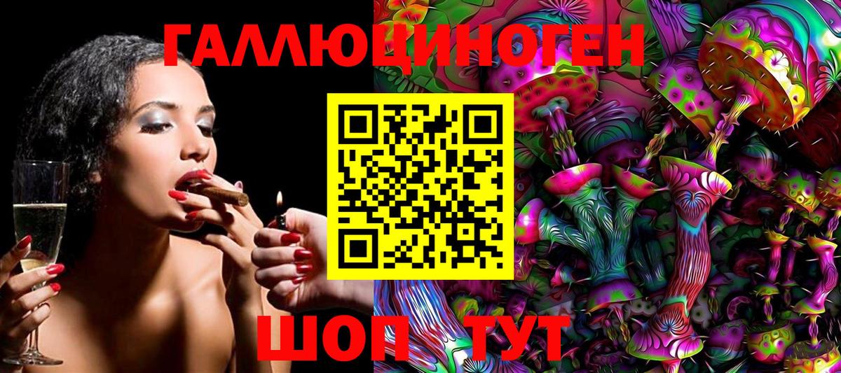 Владимир  Галлюциногенные грибы Magic Shrooms  сколько стоит  Псилоцибиновые грибы прущие грибы  Вход с VPN 